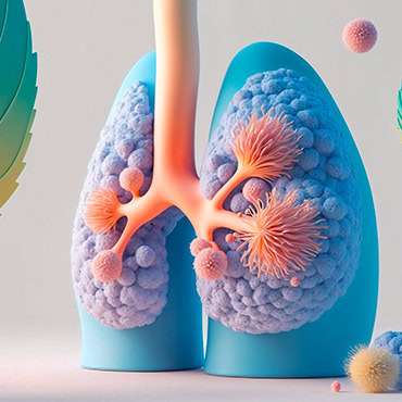 Plateforme professionnel de santé